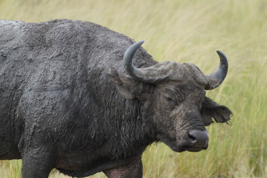 Er hat schlechte Laune 