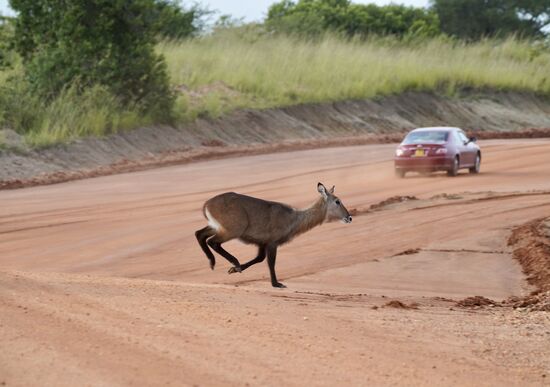 Nun gehts fix wieder heim zur Lodge—Dinner wartet!!