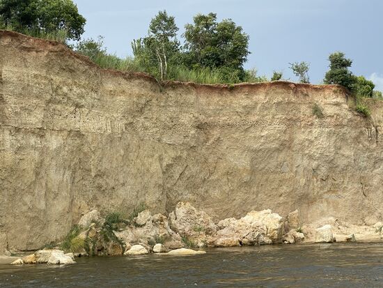 Hier sieht man viele kleine Löcher—dies sind die „Wohnungen“ der „Bee-Eater“