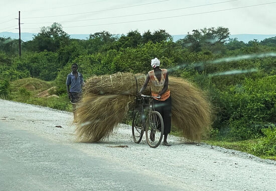 Da wir nun wieder viele Stunden im Jeep sitzen, gibt es jede Menge Fotos vom Leben unterwegs