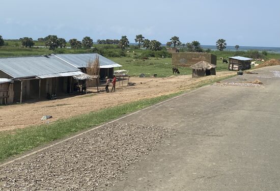 Unmengen von kleinen Fischen die sogar auf der Straße getrocknet werden