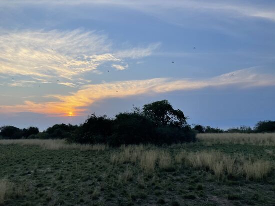 Zum Dinner werden wir an einen schönen Platz nahe an den See gefahren