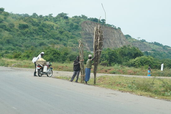 Brennholz wird geholt und transportiert…
