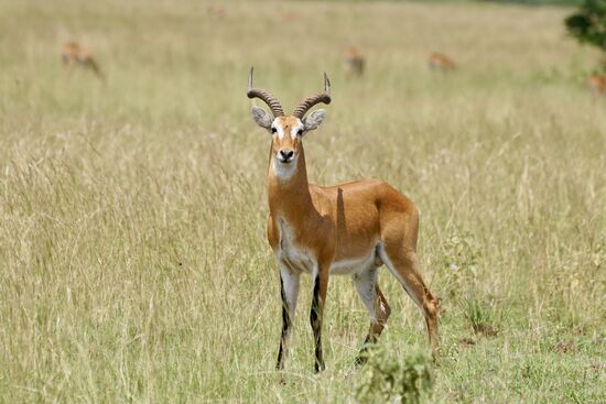 Da verabschiedet sich einer.- wir brechen früh auf, denn wir haben ca 4 Stunden Fahrt vor uns