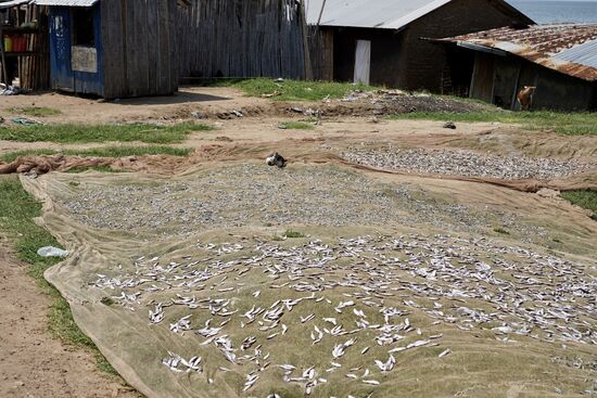 Nachmittags besuchen wir das nahegelegene Fischerdorf—hier werden die kleinen Fische getrocknet