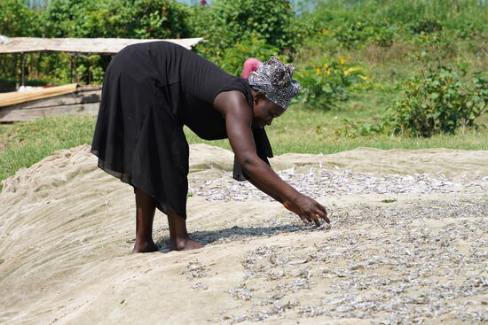 Damit sie in der Sonne trocknen