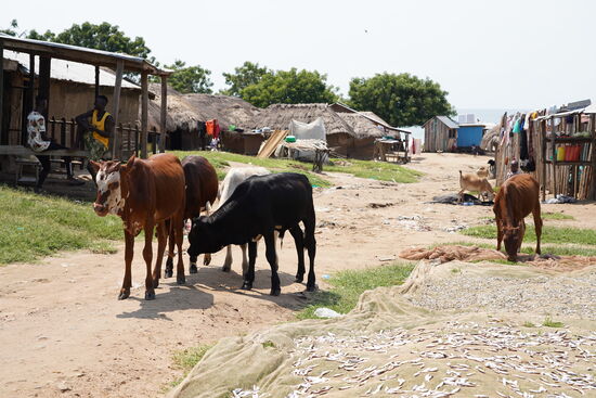 und dürfen schauen und fotografieren