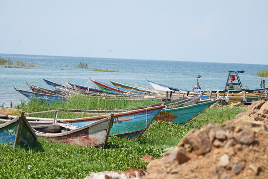 Wir fahren näher an den Albertsee