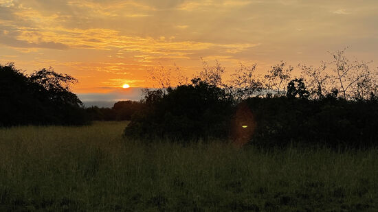 Sonnenaufgang am Lake Albert