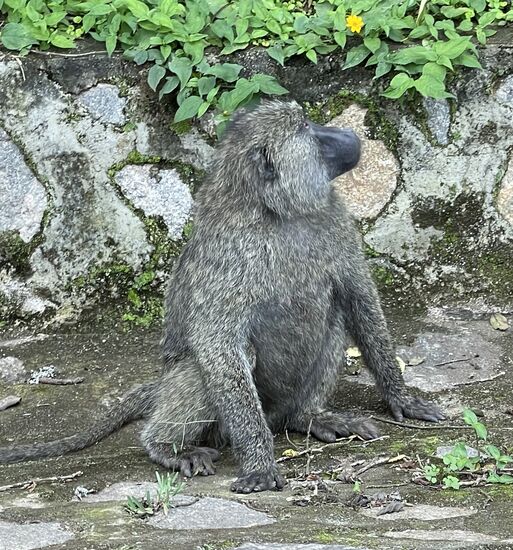 Wir nähern uns dem Park