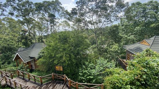 Ringsum Urwald und Affen—hier müssen wir Fenster und Türen verschlossen halten