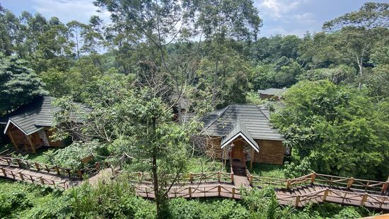 Wir sind die einzigen Gäste hier und wir sind die Augäpfel des Personals