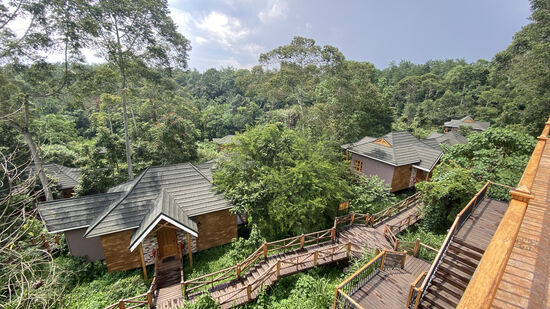 Jeder Wunsch wird uns von den Augen  abgelesen