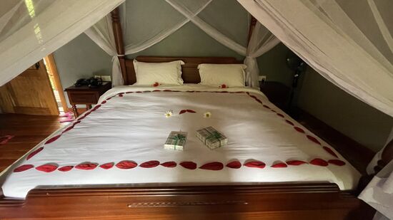 Das Zimmer wird dekoriert während wir zu Mittag essen