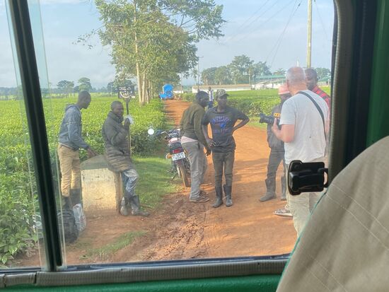 Diese Plantage gehört Indern—die Wanderarbeiter arbeiten hier für ca 3 Monate und ziehen dann weiter zur nächsten Plantage