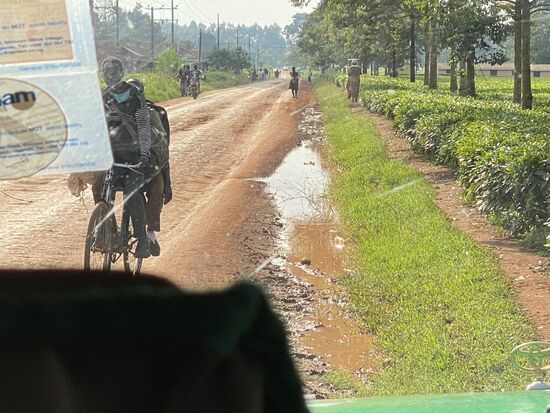 Ich bleibe im Jeep und beobachte und mache Fotos