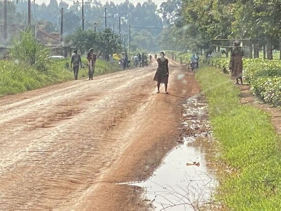 Die Straße ist nach dem vielen Regen noch immer nass