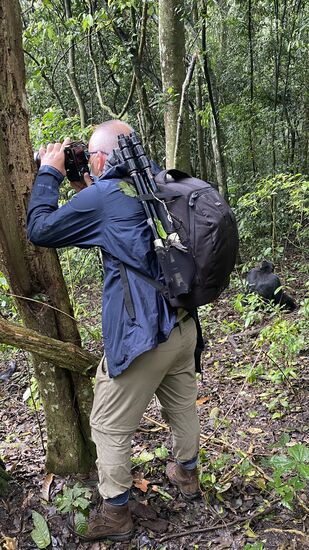 So nah waren wir an den lieben Schimpansen….