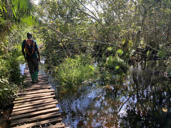 Über lange Holzstege, die teilweise aber zerstört sind