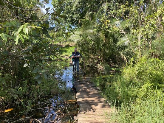 Papyrus wächst hier natürlich besonders gut—Thomas muss auf sein „Baby“ aufpassen