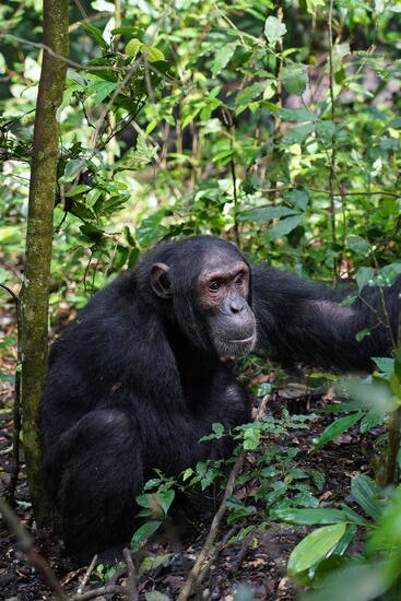 Wir folgen einem und kommen so an einen Platz, an dem sich ganz viele tummeln!