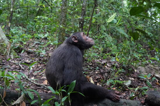 Hmmmm…ist das langweilig…..