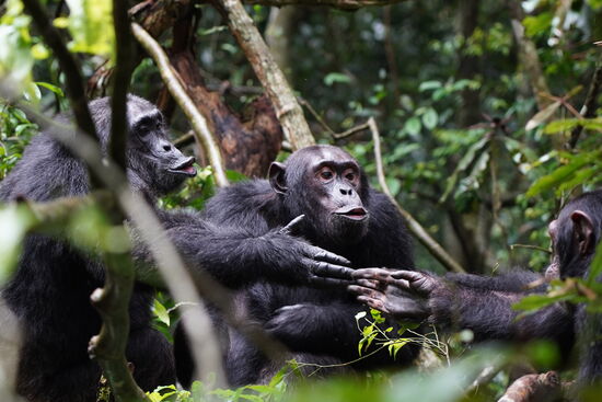 Machste mit??
Okay—schlag ein! 
