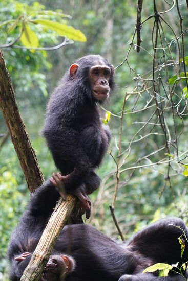 Der Kleine mischt immer mit!