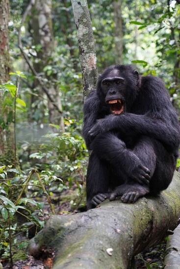 Entspannt und müde..