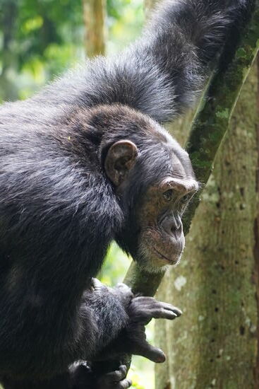 Wer beobachtet hier eigentlich wen??