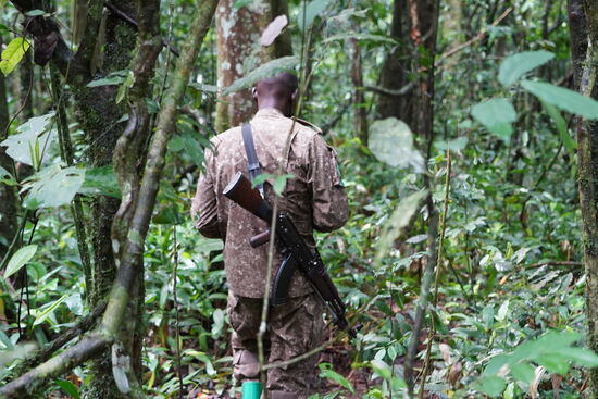 Gordon geht voraus und checkt die Lage…