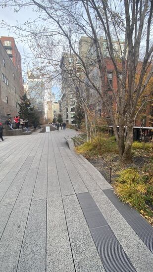 Die „High Line“ ist eine über 2km lange, und 7,5 Meter über dem Boden liegende, nicht mehr genutzte Güterzugtrasse im Westen von Manhattan