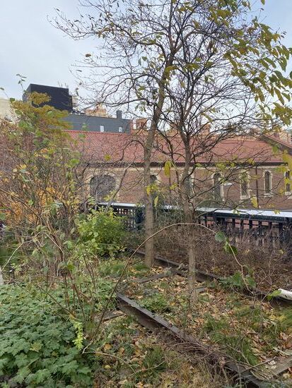 Die Anlage wurde von 2006-2019 zu einer Parkanlage, dem „High Line Park“ umgebaut