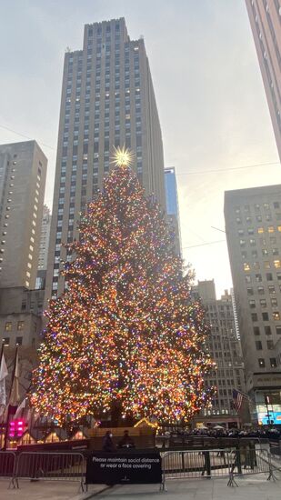 Der berühmte Baum vor dem Rockefeller Center-die norwegische Fichte mit 23-27m Höhe und mindestens 10m Breite. Obendrauf der 3m große Stern mit 25.000 Kristallen von Swarowski
Die etwa 30.000 Lichter werden jedes Jahr vom amtierenden Bürgermeister entzündet