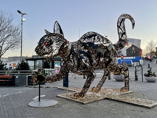 Eine beleuchtete Katze 