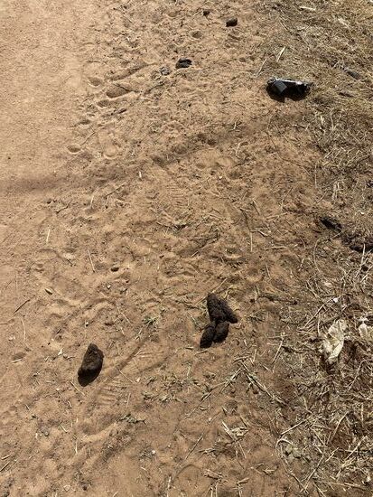 Der Weg ins Dorf ist übersät von „Tretminen“. Es gibt bei diesen Stämmen keine Toilette und man findet überall die Hinterlassenschaften. Festes Schuhwerk ist von Vorteil.