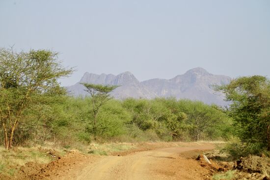 Es tauchen mehr Berge im Hintergrund auf. Aber die Gegend ist flach und karg