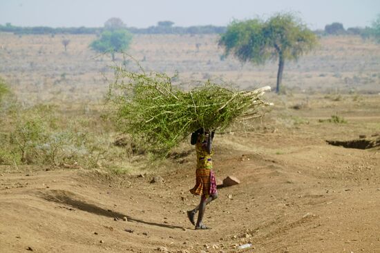 Immer wieder sieht man Kinder und Jugendliche, die Holz oder sonstige Dinge auf dem Kopf tragen. Hier sieht man ein junges Mädchen mit einem Bündel Sträuchern. Vermutlich für den Bau eines Zaunes.