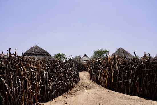 Hier sieht man einmal, wie die Hütten durch die Zäune geschützt sind. Innerhalb der Zäune werden die kleinen Tiere, wie Ziegen und Hühner - während der Nacht aufbewahrt. Sie müssen vor den Dieben geschützt werden. Wer sind die Diebe? Mitglieder anderer Stämme aus der Region wie auch Diebe, die aus dem Südsudan über die Grenze kommen. Vieh- und Tierdiebstahl ist an der Tagesordnung. Und die Kühe und Ziegen sind das Wertvollste, was sie haben.