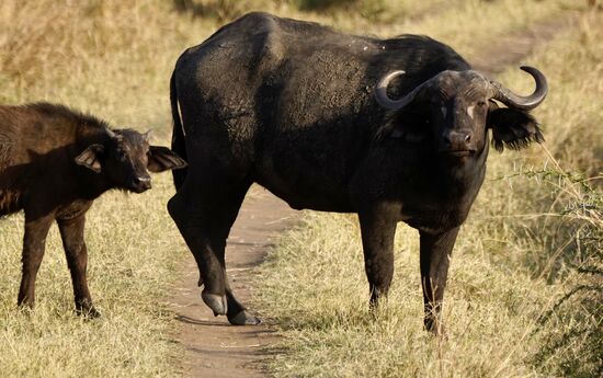 Nein, wir machen keinen Platz. Basta!