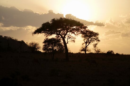 Gegen 19:00 Uhr geht die Sonne unter. Die weite offene Steppe verfällt in eine tolle Abendsstimmung