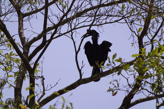 Schön und iwie unheimlich-