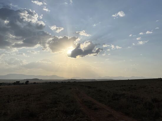Es wird spät und wir sind 10km weit von unserer Lodge entfernt - das bedeutet über eine Stunde Fahrt