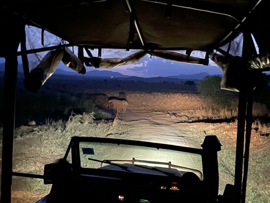 Unsere Rückfahrt dauert dann für die 10 km über eine Stunde und es gibt dann noch die Blockade der Elefanten am Wasserloch. Hier geht es erst einmal nicht weiter. Elefant muss erst einmal trinken. Und solange die Kleinen nicht weitergehen, verlassen die Großen nicht den Ort. Hupen zwecklos.
Irgendwann kommen wir dann doch in der Lodge an. Denis und die beiden Mechaniker machen sich dann direkt auf den Weg in die Werkstadt. Wir stehen noch spät bis in die Nacht in Kontakt. Um 01.00 Uhr ist Denis dann auch zurück in der Lodge. Sein Abendessen haben wir in sein Zimmer bringen lassen. Er hat nicht mehr viel davon gegessen. Dieser Tag hat ihm viel Kraft gekostet.