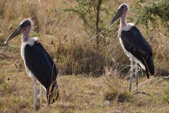 Auch diese Kollegen warten geduldig