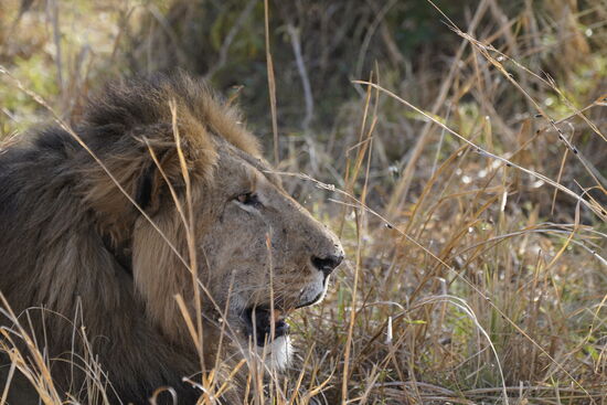 Aber „er“ läßt sie noch nicht ran…