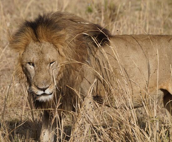 Ab und zu steht er mal auf und wechselt die Position….