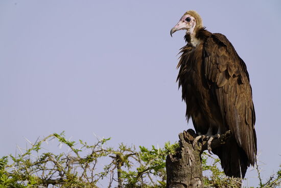 Irgendwann fahren wir dann doch weiter-