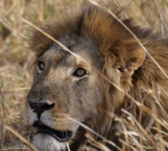 „Haut ab; es gibt nichts!“