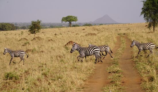 Die haben „Vorfahrt“ und wir müssen mal wieder warten